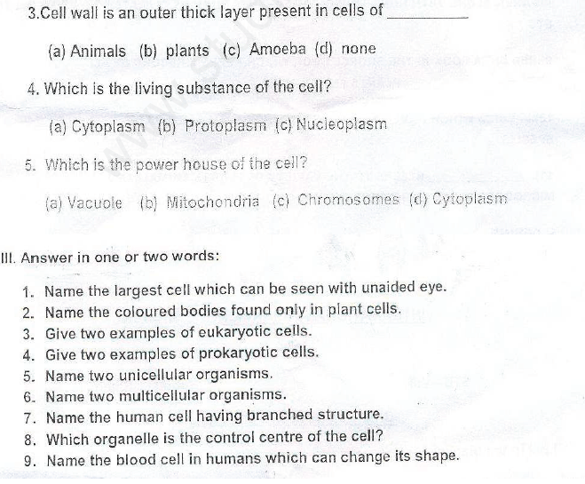 CBSE Class 8 Science Cell Structure and Functions Assignment Set D